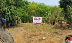 Bảy năm mắc kẹt vì hùn tiền với em chồng mua hai miếng đất