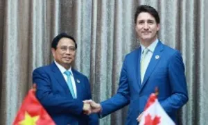 Việt Nam đề nghị Canada hỗ trợ trong hoạt động gìn giữ hòa bình LHQ